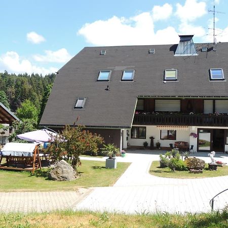 شقة Haus Ingeborg Dachsberg im Schwarzwald المظهر الخارجي الصورة