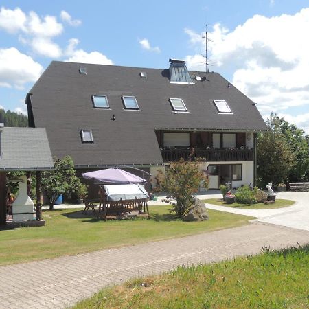 شقة Haus Ingeborg Dachsberg im Schwarzwald المظهر الخارجي الصورة