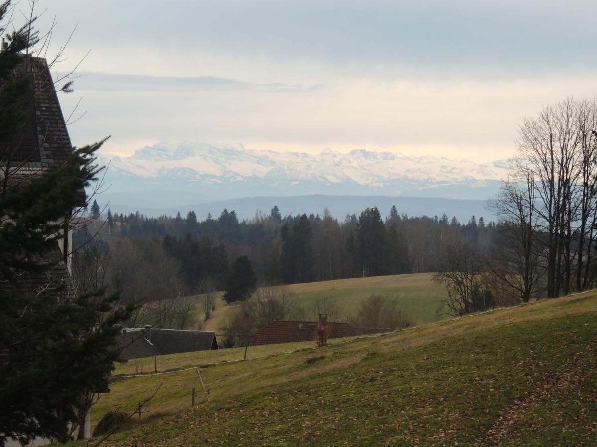 شقة Haus Ingeborg Dachsberg im Schwarzwald المظهر الخارجي الصورة