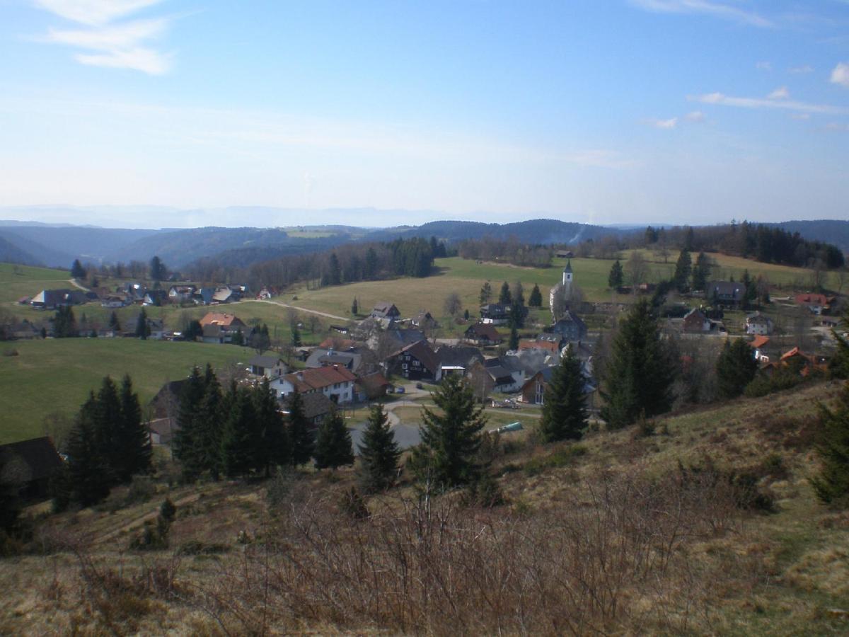 شقة Haus Ingeborg Dachsberg im Schwarzwald المظهر الخارجي الصورة