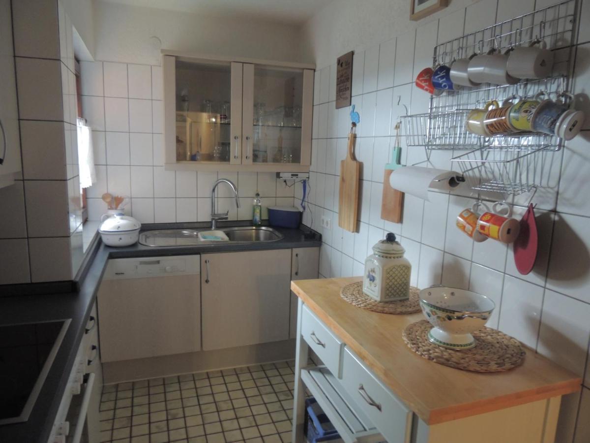 شقة Haus Ingeborg Dachsberg im Schwarzwald المظهر الخارجي الصورة