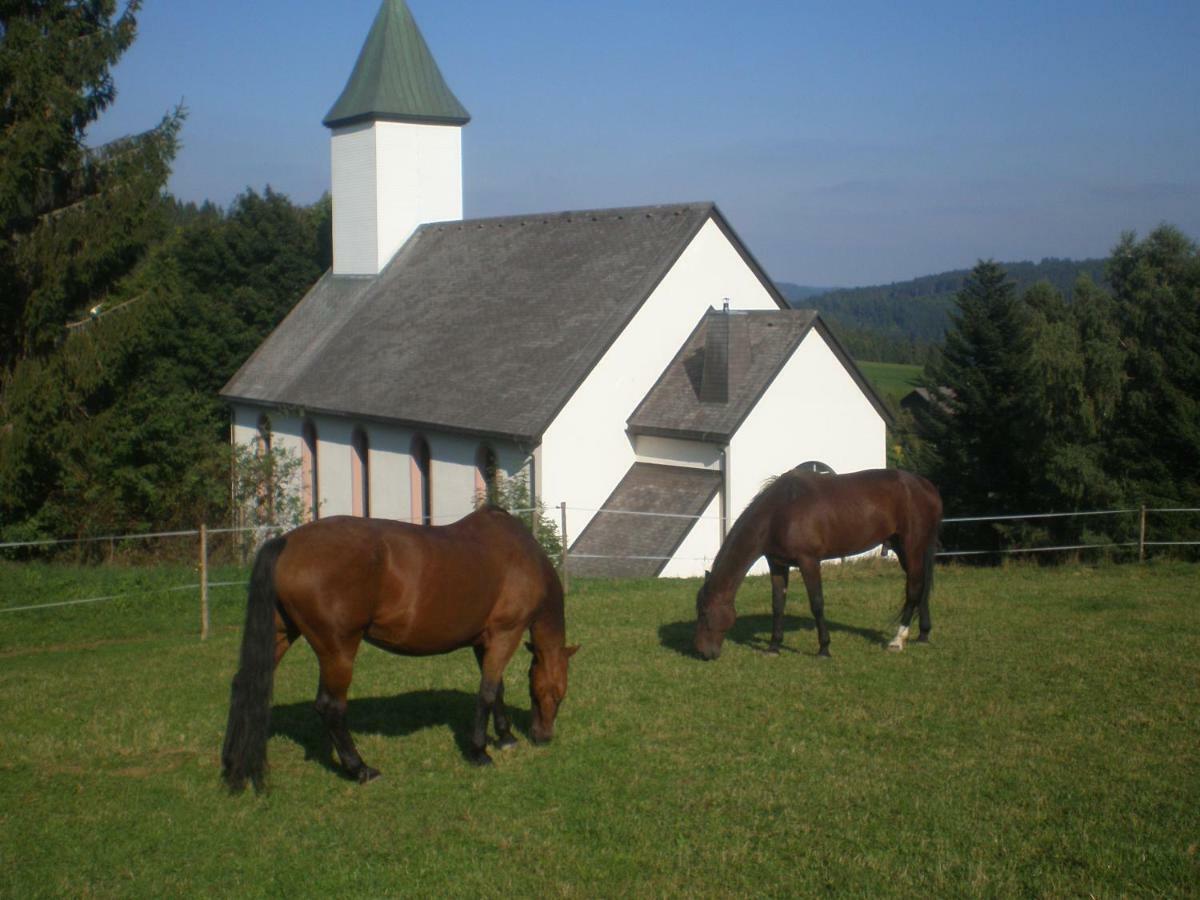 شقة Haus Ingeborg Dachsberg im Schwarzwald المظهر الخارجي الصورة