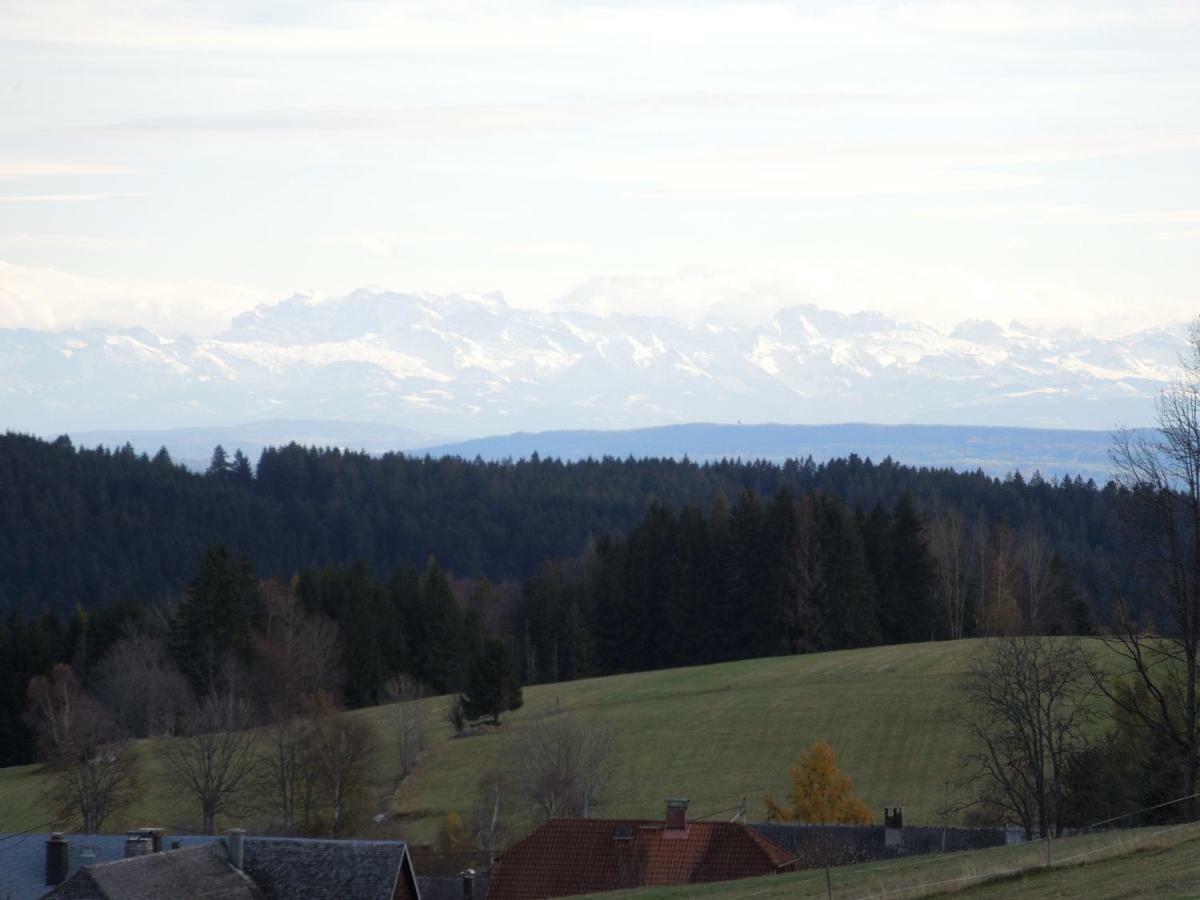 شقة Haus Ingeborg Dachsberg im Schwarzwald المظهر الخارجي الصورة