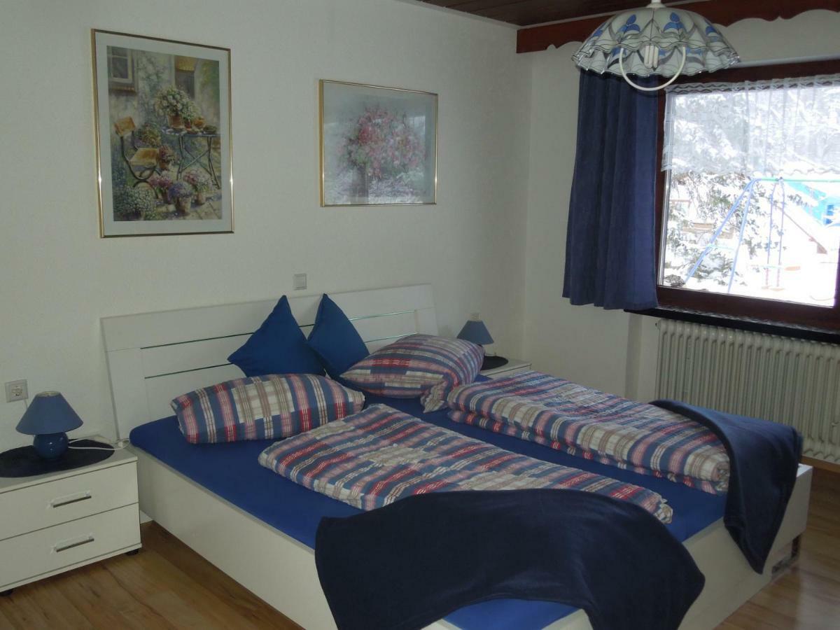 شقة Haus Ingeborg Dachsberg im Schwarzwald المظهر الخارجي الصورة