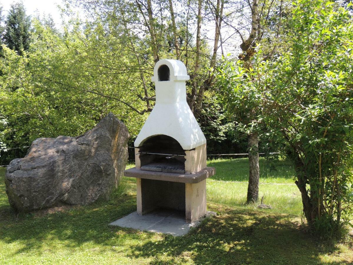شقة Haus Ingeborg Dachsberg im Schwarzwald المظهر الخارجي الصورة