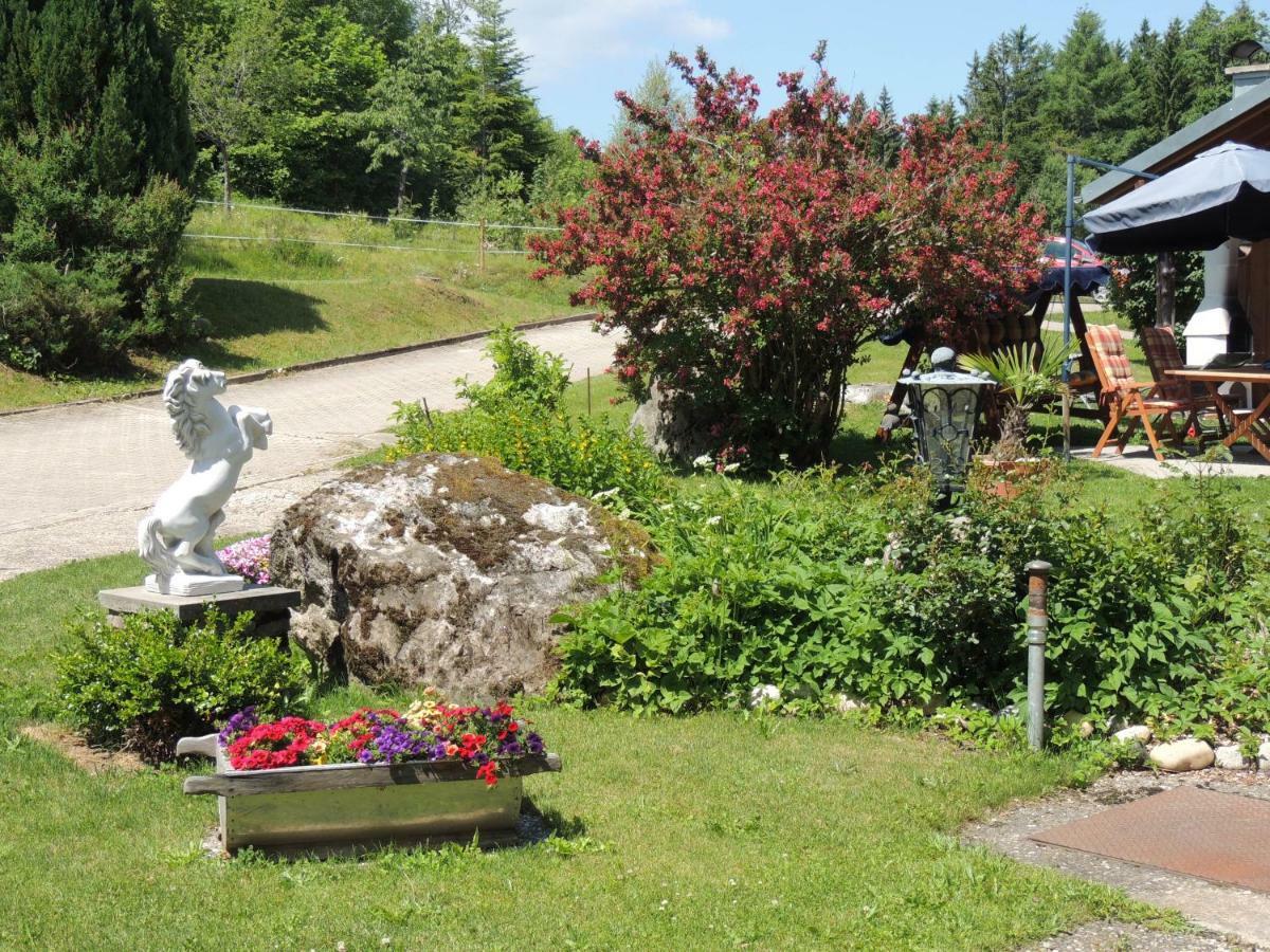 شقة Haus Ingeborg Dachsberg im Schwarzwald المظهر الخارجي الصورة